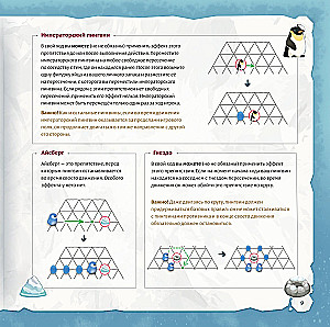 Board Game - Zoollywood. Polar Adventure